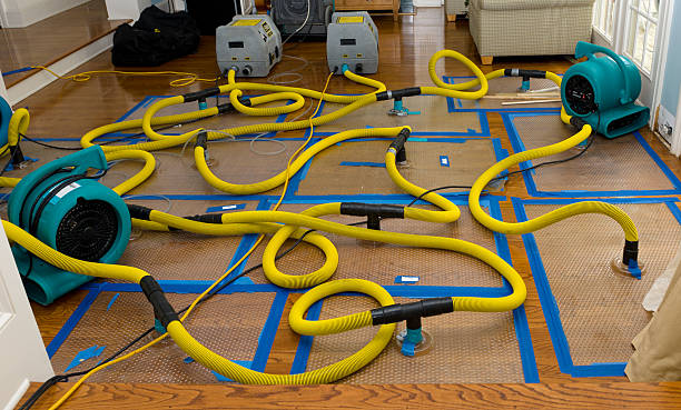 Professional Storm Water Damage Restoration technician working in Marcus, IA